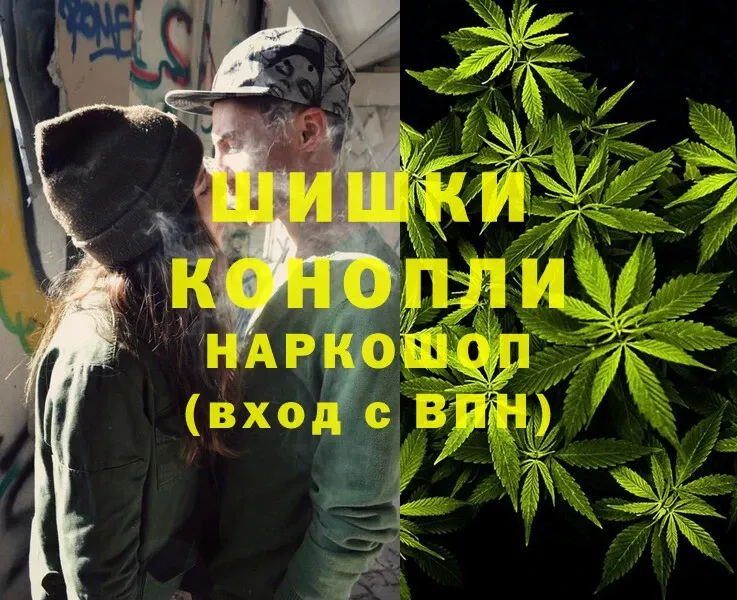 Каннабис White Widow  где найти   Саранск 